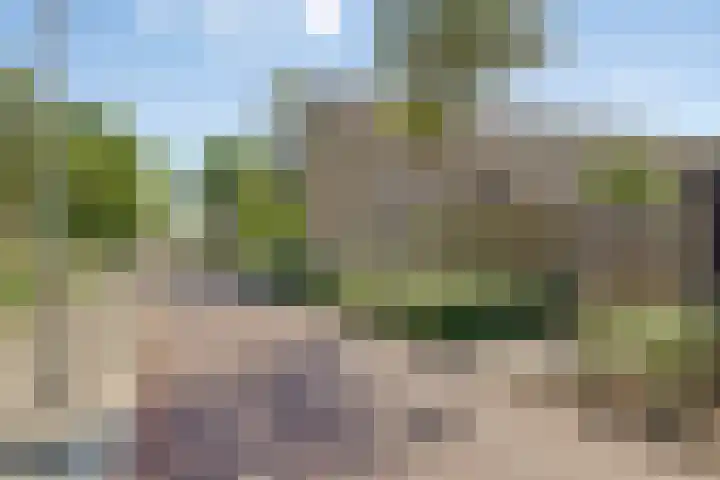 Ruigewerve 2 Bergen op Zoom thumbnail 36
