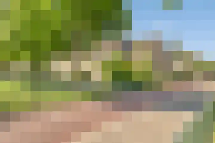 Ruigewerve 2 Bergen op Zoom thumbnail 37
