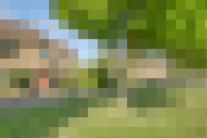 Ruigewerve 2 Bergen op Zoom thumbnail 38