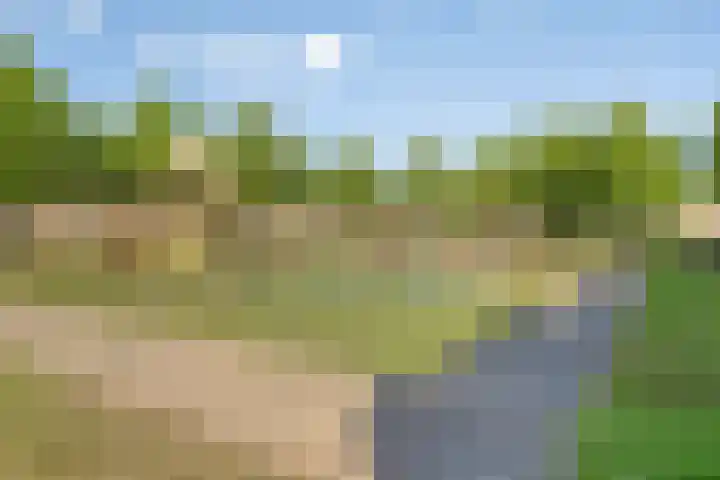 Ruigewerve 2 Bergen op Zoom thumbnail 39