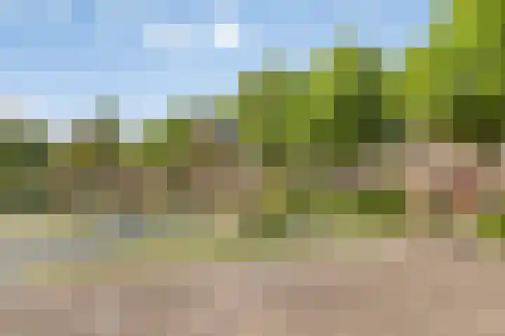 Ruigewerve 2 Bergen op Zoom thumbnail 40