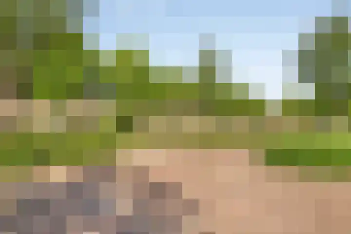Ruigewerve 2 Bergen op Zoom thumbnail 41