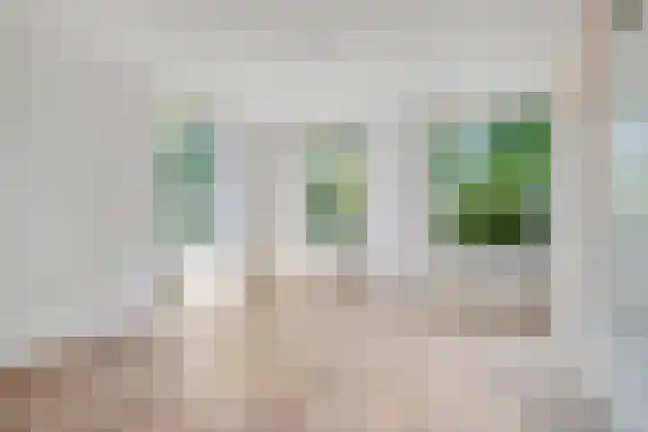 Ruigewerve 2 Bergen op Zoom thumbnail 7