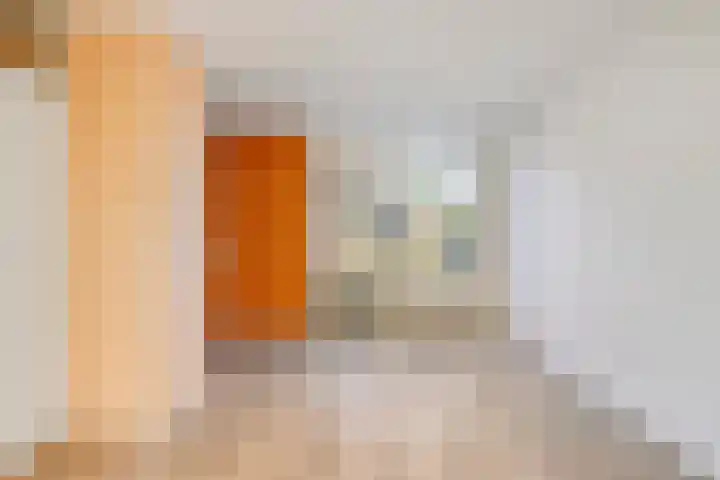Ruigewerve 2 Bergen op Zoom thumbnail 9