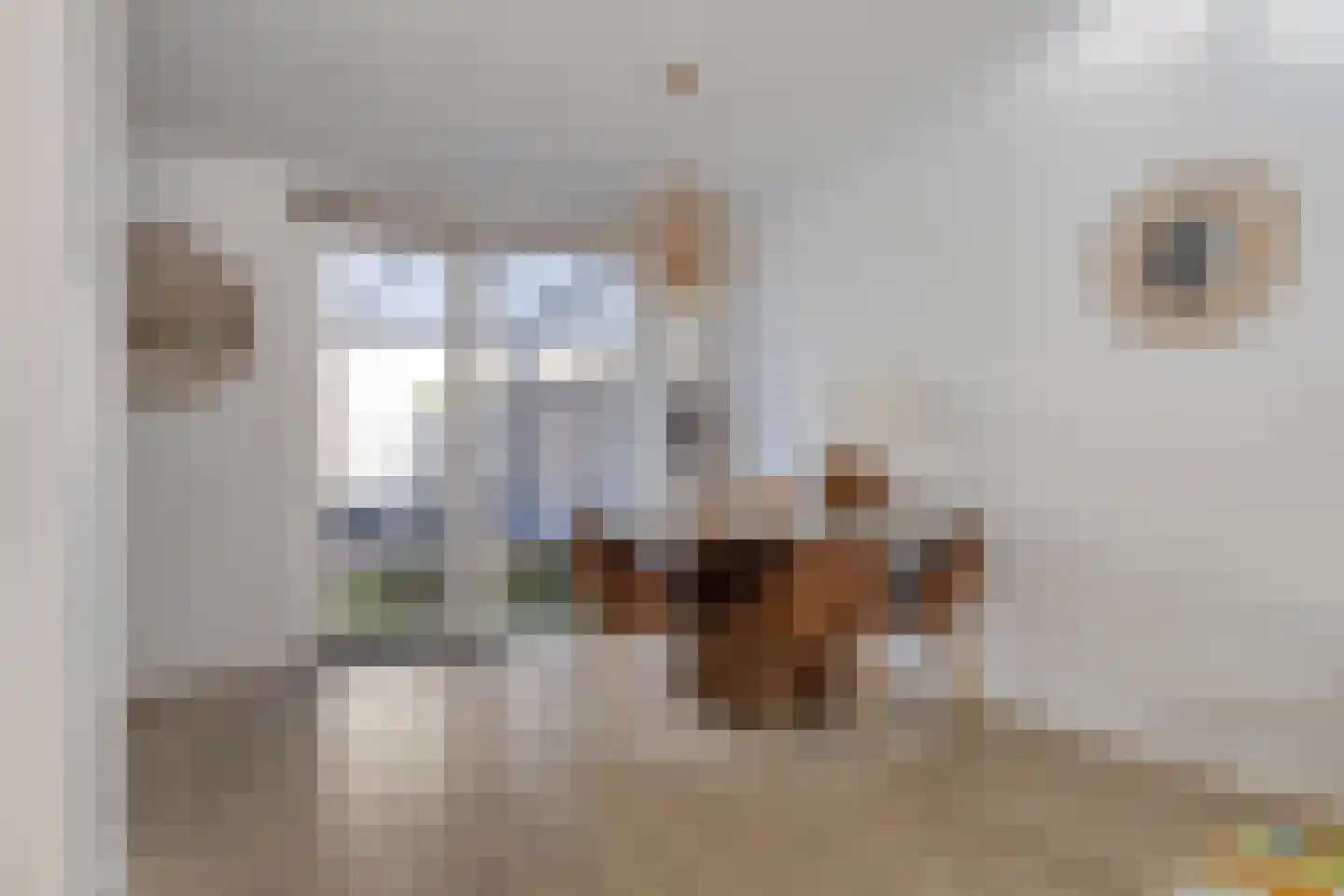 Ruigewerve 22 Bergen op Zoom thumbnail 14