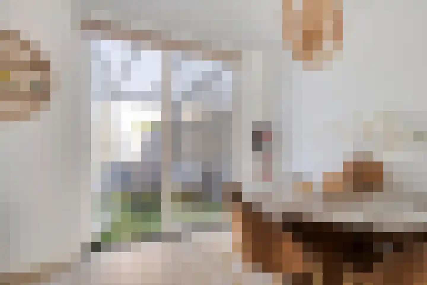 Ruigewerve 22 Bergen op Zoom thumbnail 15