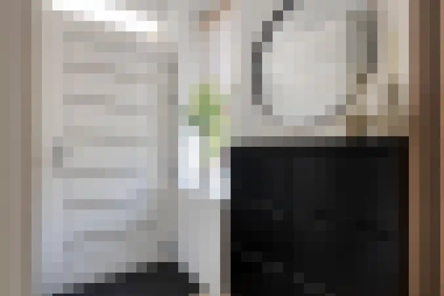 Ruigewerve 22 Bergen op Zoom thumbnail 8