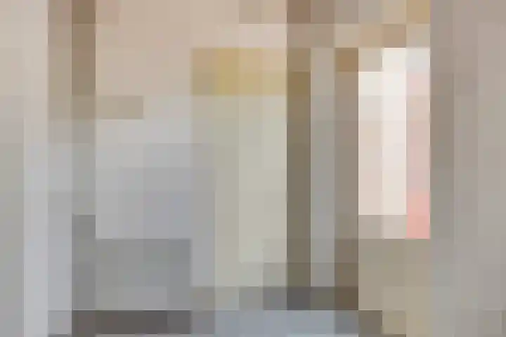 Ruigewerve 9 Bergen op Zoom thumbnail 13