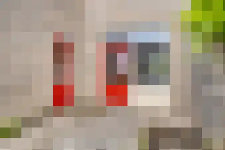 Ruigewerve 9 Bergen op Zoom thumbnail 29