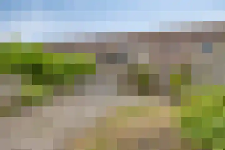 Ruigewerve 9 Bergen op Zoom thumbnail 30