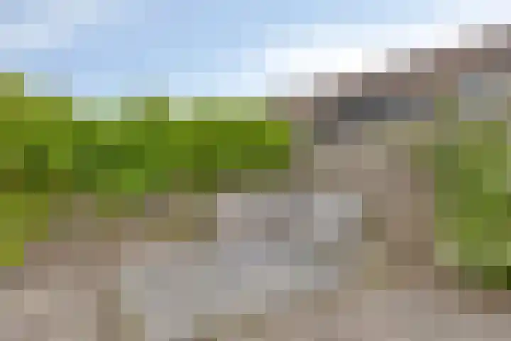 Ruigewerve 9 Bergen op Zoom thumbnail 31