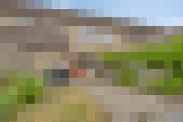 Ruigewerve 9 Bergen op Zoom thumbnail 32