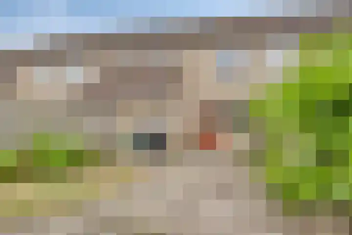 Ruigewerve 9 Bergen op Zoom thumbnail 33