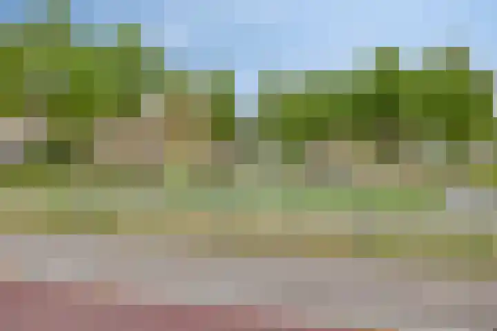 Ruigewerve 9 Bergen op Zoom thumbnail 34