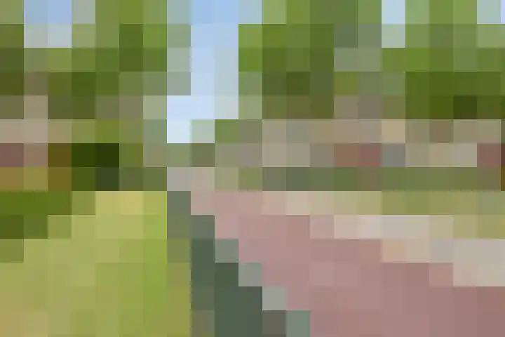 Ruigewerve 9 Bergen op Zoom thumbnail 35