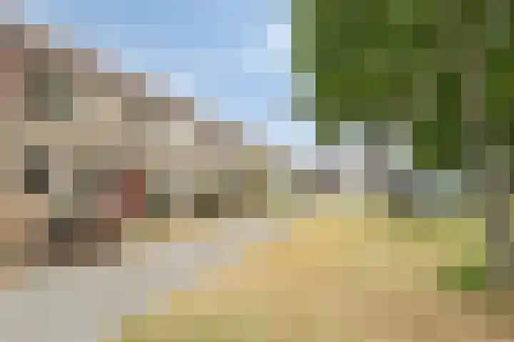 Ruigewerve 9 Bergen op Zoom thumbnail 42