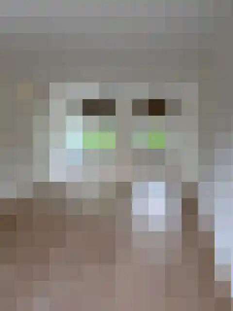 Ruigewerve 9 Bergen op Zoom thumbnail 5