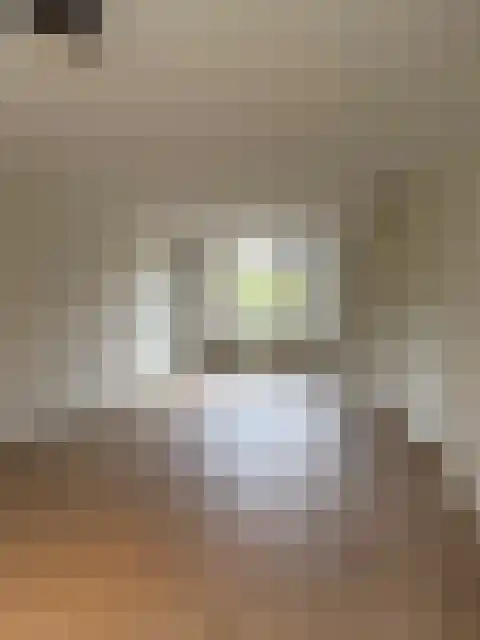 Ruigewerve 9 Bergen op Zoom thumbnail 6