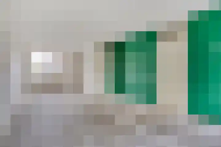 Ruigewerve 9 Bergen op Zoom thumbnail 7