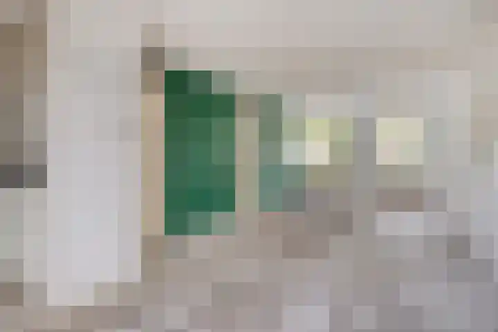 Ruigewerve 9 Bergen op Zoom thumbnail 8