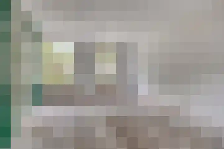 Ruigewerve 9 Bergen op Zoom thumbnail 9