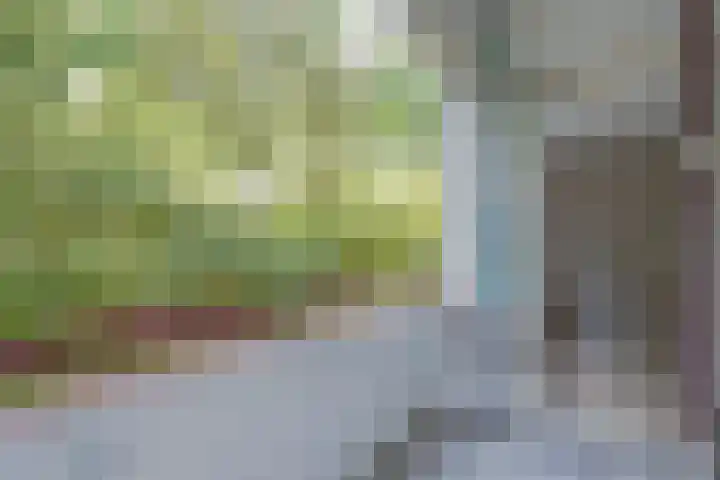 Ruigoord 10 Rotterdam thumbnail 10