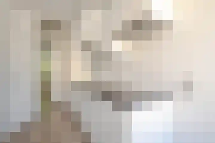 Ruigoord 10 Rotterdam thumbnail 12