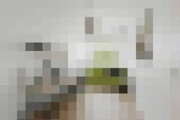 Ruigoord 10 Rotterdam thumbnail 14