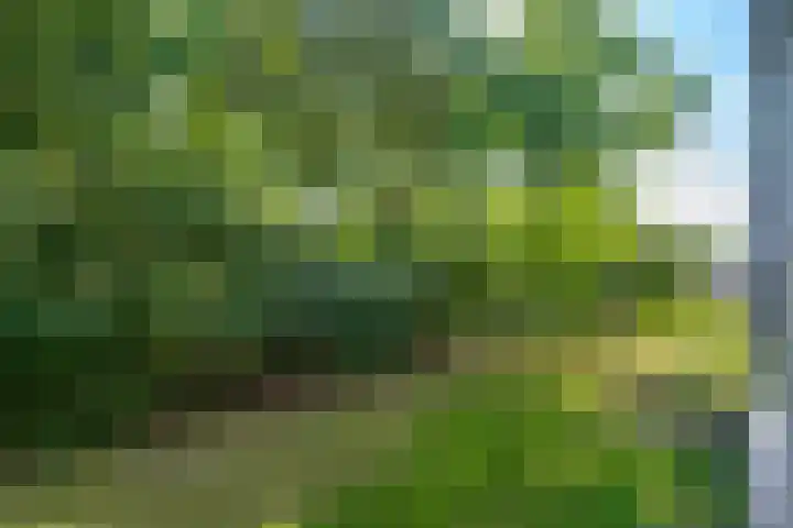 Ruigoord 10 Rotterdam thumbnail 21