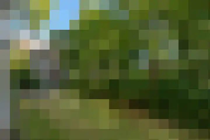 Ruigoord 10 Rotterdam thumbnail 22