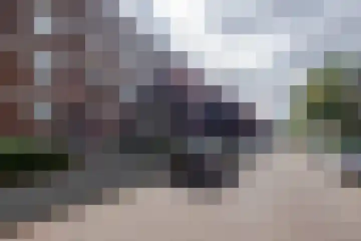 Ruigoord 10 Rotterdam thumbnail 23