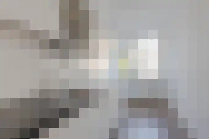 Ruigoord 10 Rotterdam thumbnail 4