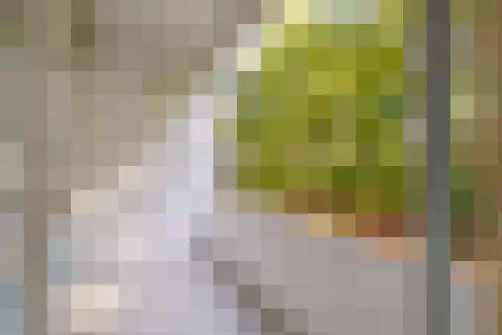 Ruigoord 10 Rotterdam thumbnail 9
