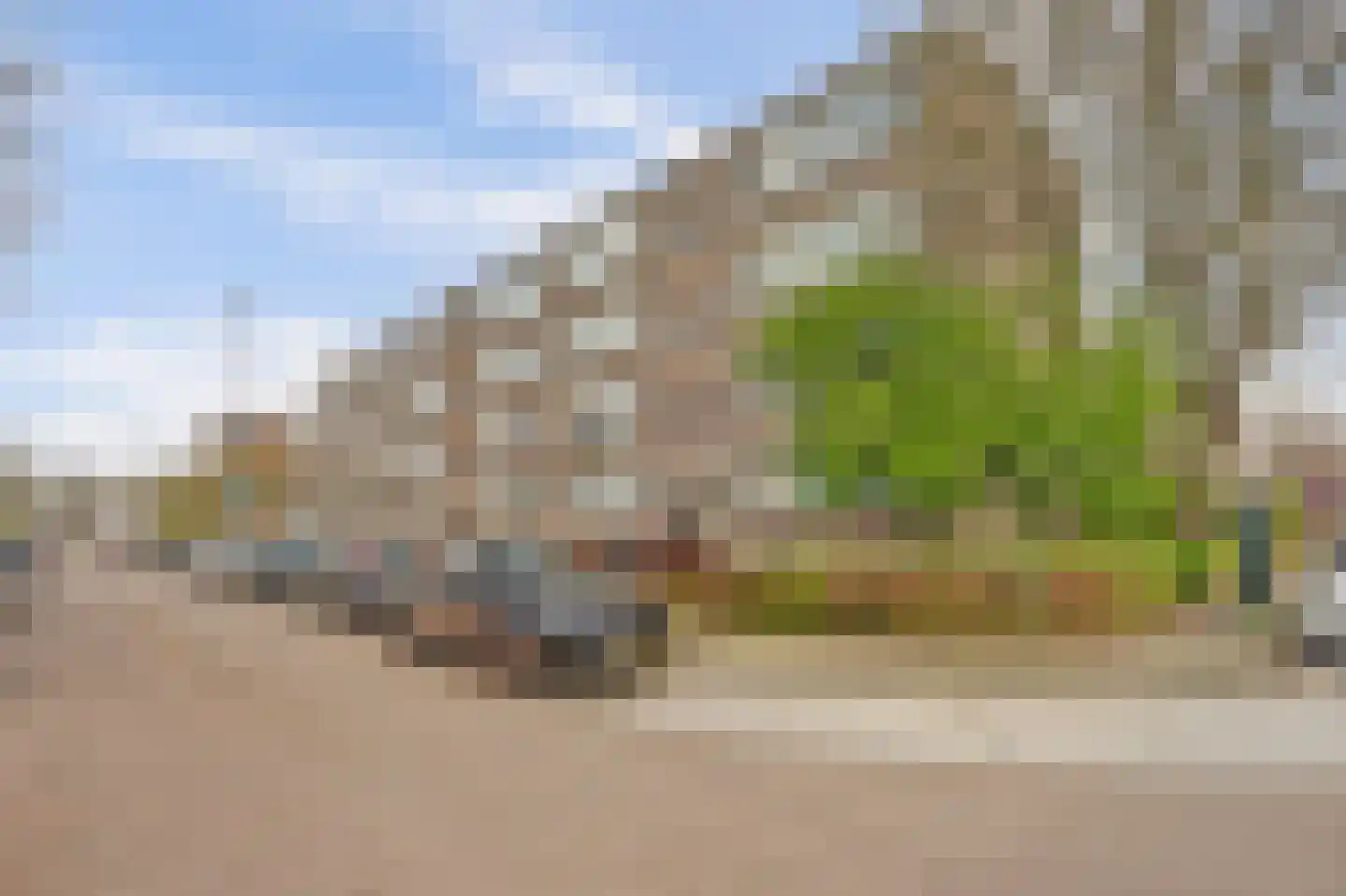 Ruigoord 107 Rotterdam