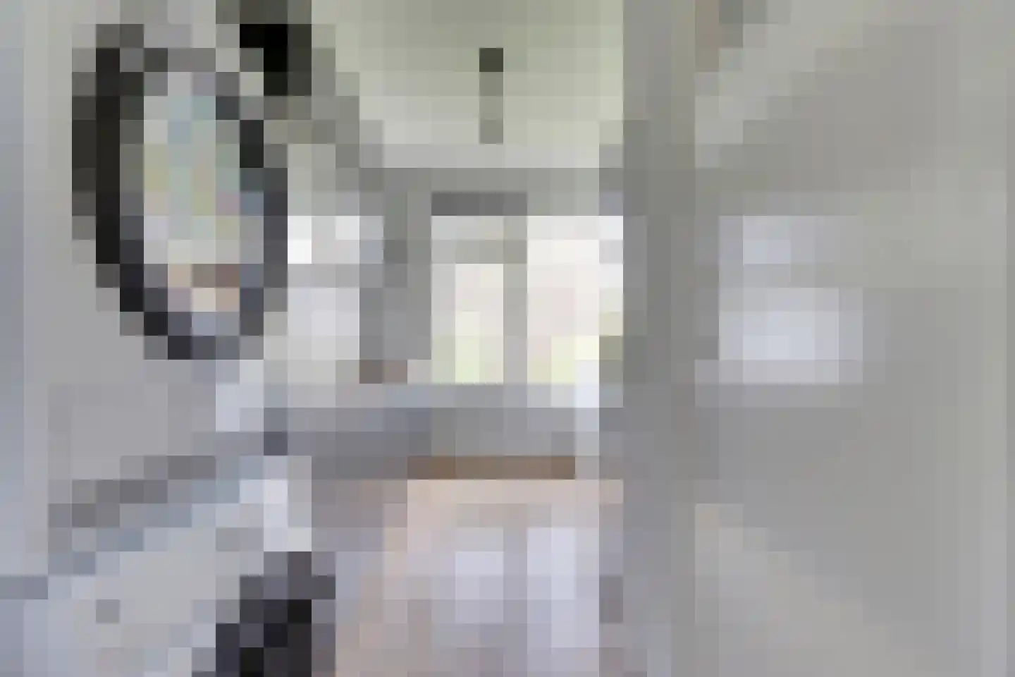 Ruigoord 107 Rotterdam thumbnail 10