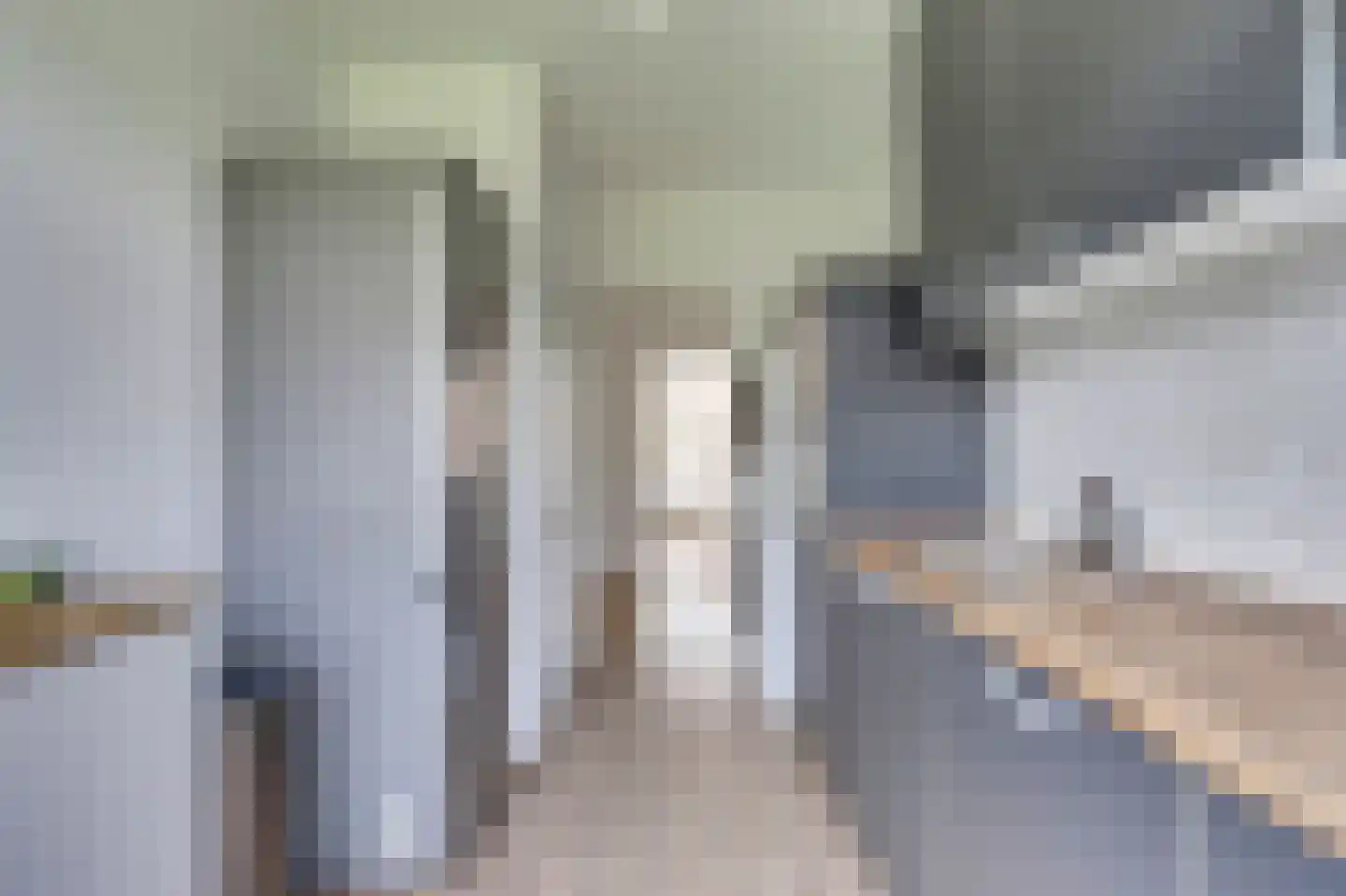 Ruigoord 107 Rotterdam thumbnail 11