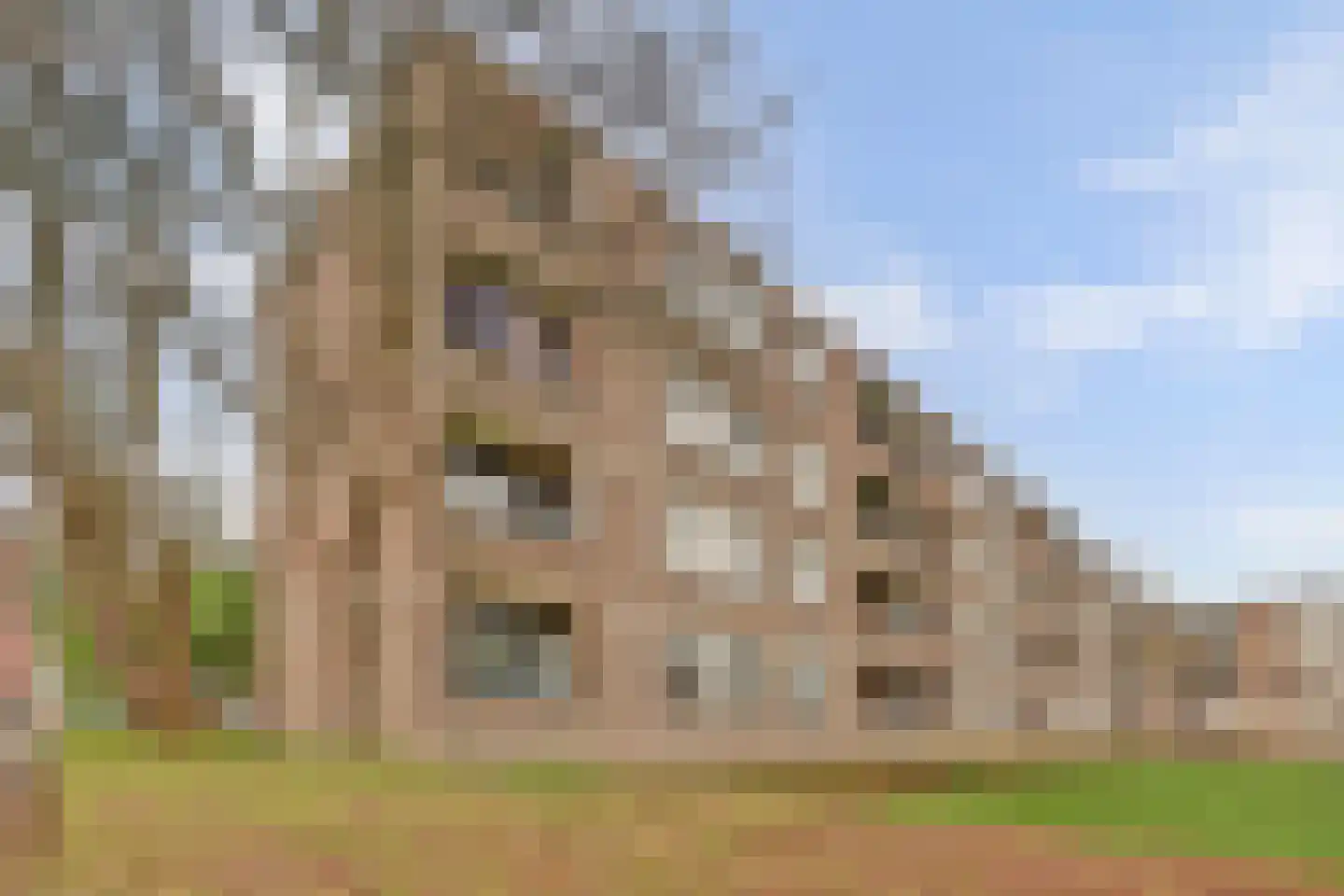 Ruigoord 107 Rotterdam thumbnail 22