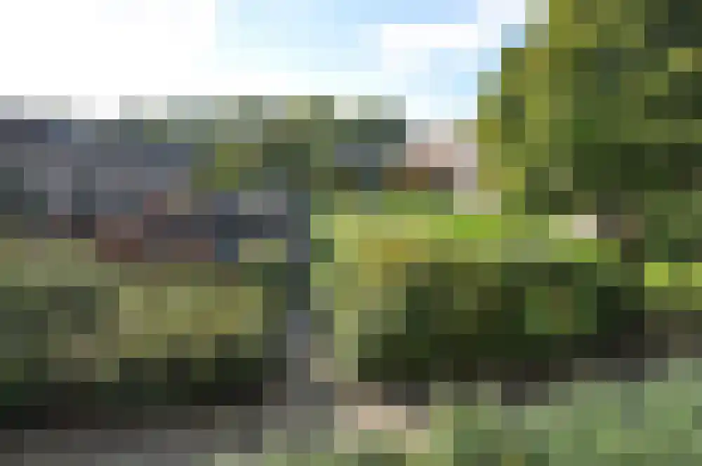 Ruigoord 112 Rotterdam thumbnail 16