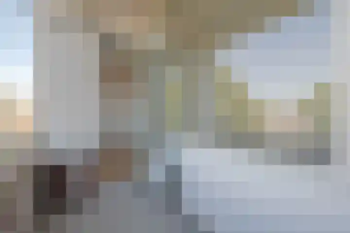 Ruigoord 116 Rotterdam thumbnail 21