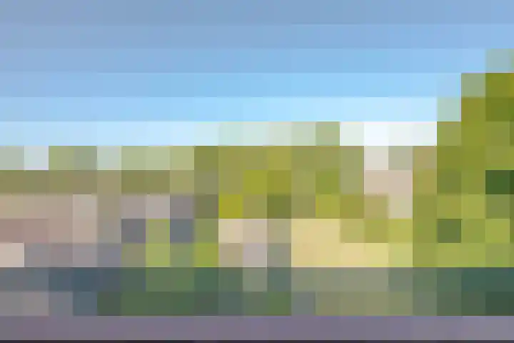Ruigoord 116 Rotterdam thumbnail 22