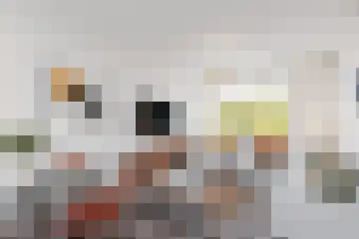 Ruigoord 116 Rotterdam thumbnail 4