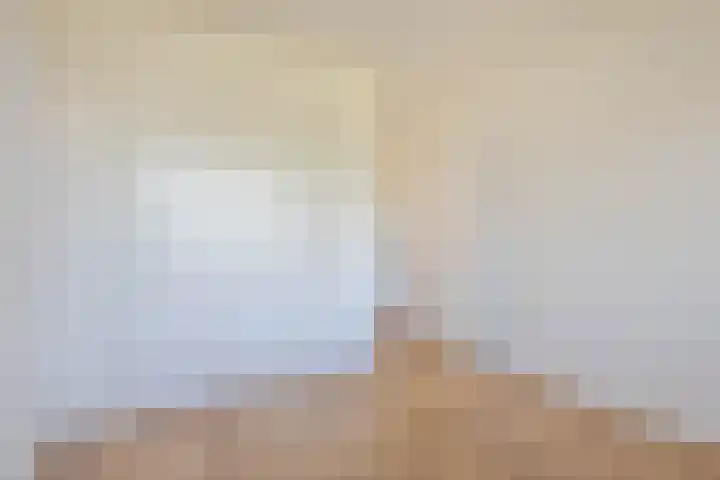 Ruigoord 116 Rotterdam thumbnail 9