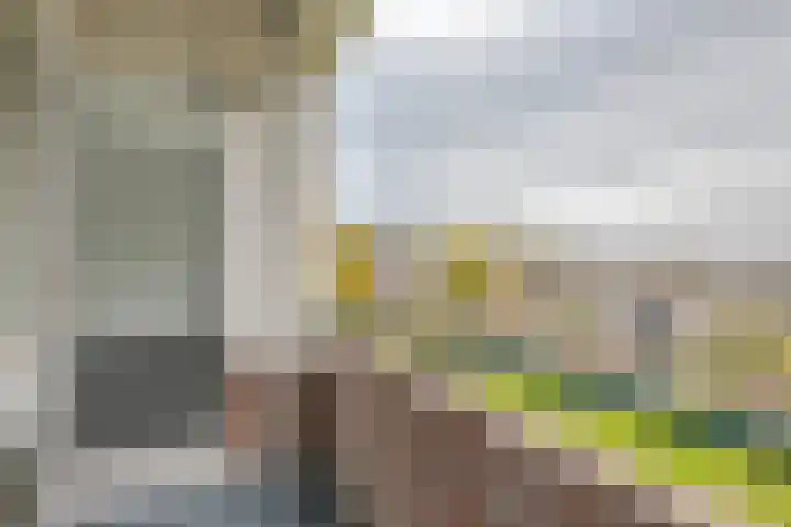 Ruigoord 186 Rotterdam thumbnail 12