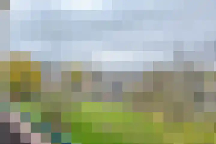 Ruigoord 186 Rotterdam thumbnail 13