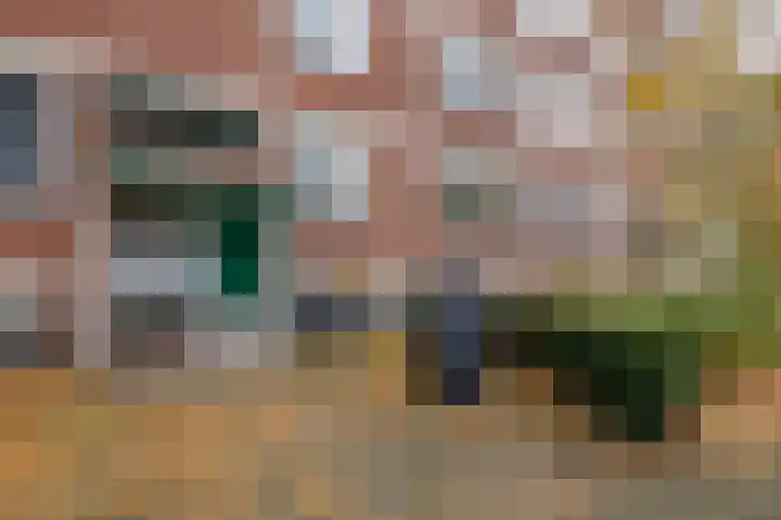 Ruigoord 186 Rotterdam thumbnail 23