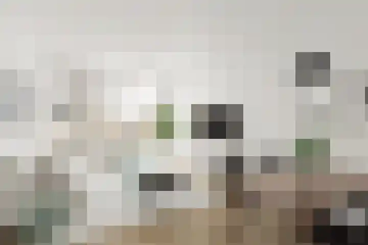 Ruigoord 186 Rotterdam thumbnail 4