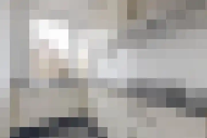 Ruigoord 186 Rotterdam thumbnail 8