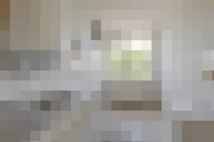 Ruigoord 196 Rotterdam thumbnail 11