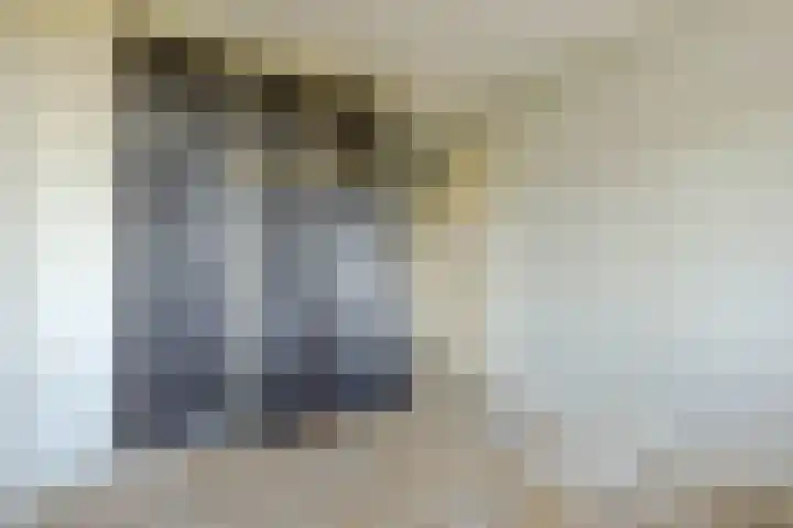 Ruigoord 196 Rotterdam thumbnail 15