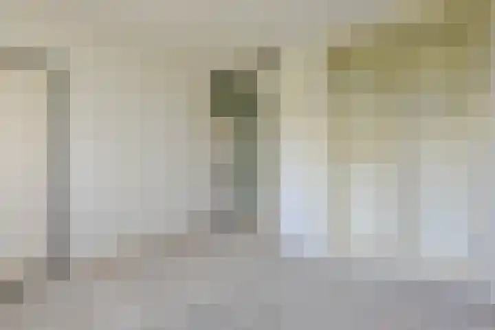 Ruigoord 196 Rotterdam thumbnail 17
